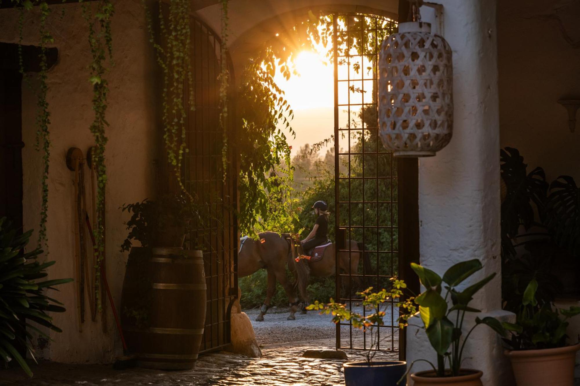 Son Boronat Hotel Calvia  Luaran gambar